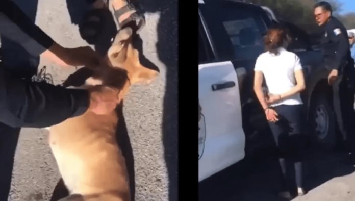 Mujer arrastra un perro por el suelo mientras conducía una motocicleta