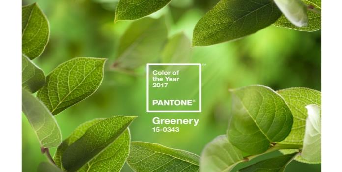 Greenery el Pantone del 2017