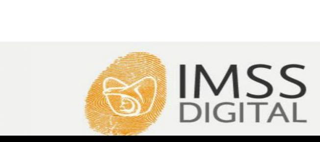 IMSS reporta avance de 78 por ciento en digitalización de trámites