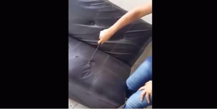 VIDEO: Descubre el asqueroso relleno de su nueva sala