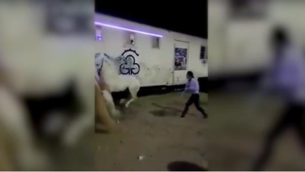 Exhiben al rejoneador Emiliano Gamero maltratando caballos (VIDEO)