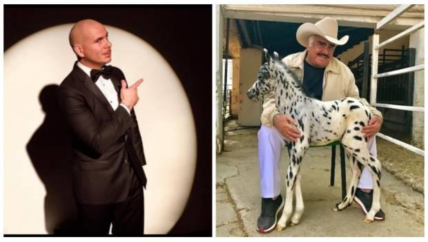 Pitbull desea realizar dueto musical con Vicente Fernández