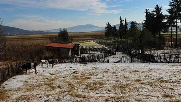 Reportan temperatura de menos 12 grados en La Rosilla, Durango
