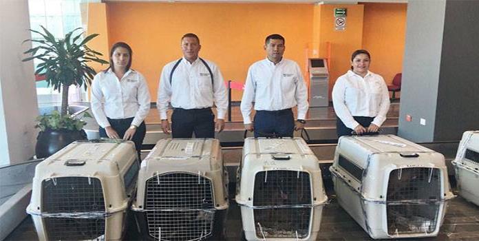 Dona EU perros entrenados a Procuraduría de Tamaulipas