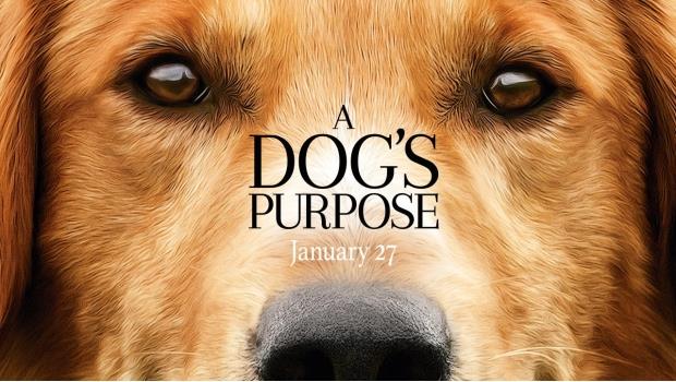 Investigan a realizadores de A Dogs Purpose por maltrato animal