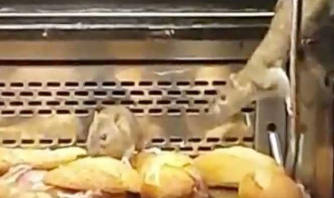 Video: Graban a ratas en mostrador de prestigiosa panadería