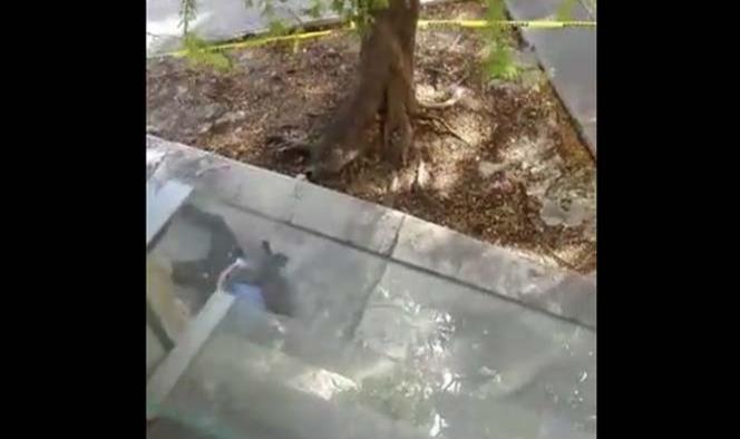 Video: Transmite balacera en Cancún; ‘aquí hay un vato muerto’, dice