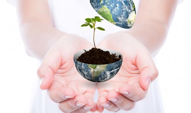 Día de la Tierra: cuidar el planeta es responsabilidad de todos
