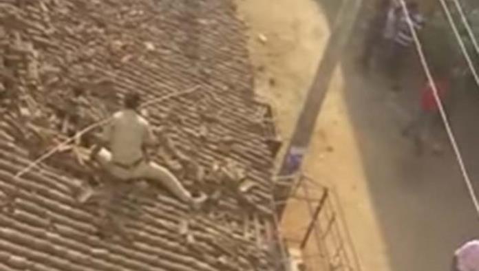 Video: Hombre salta desde el techo para huir de leopardo