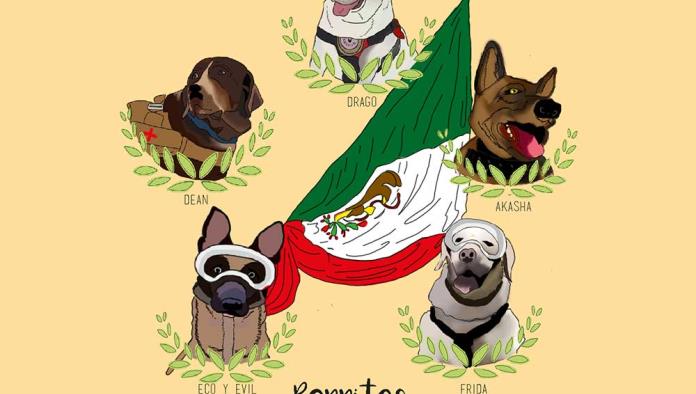 Perros rescatistas, los nuevos héroes de los mexicanos