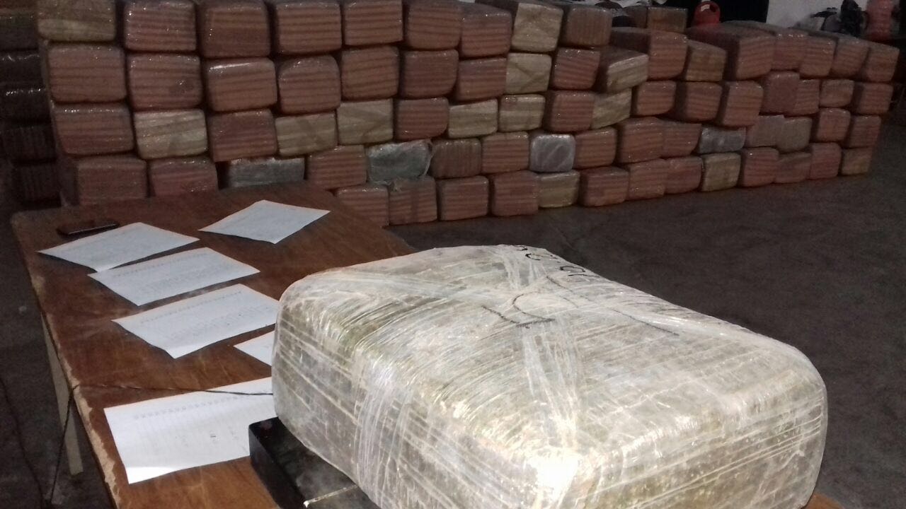 Incauta Fuerza Coahuila mil 500 kilos de marihuana