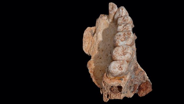 Un fósil que lo cambia todo: Hallan en Israel el resto de Homo Sapiens más antiguo fuera de África