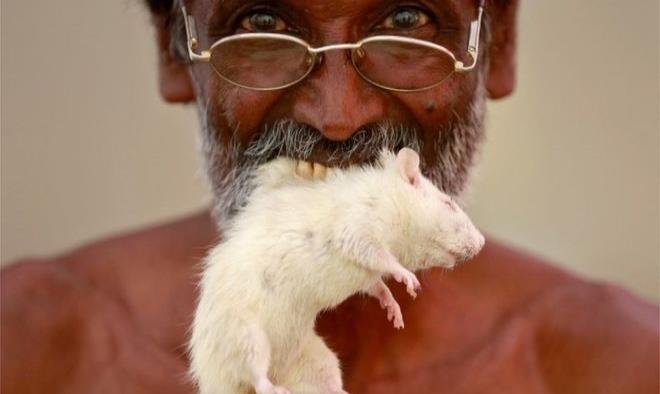 Mascando ratones y mostrando calaveras: las inusuales protestas de los agricultores en India