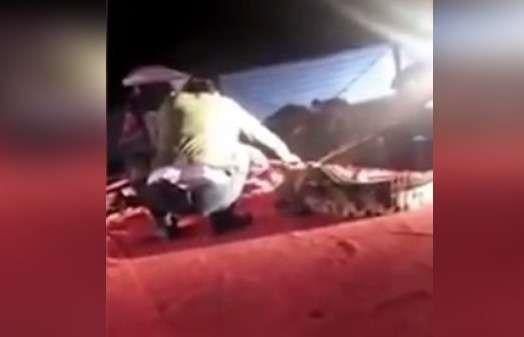 Video: Casi muere tras meter su cabeza en la boca de un cocodrilo