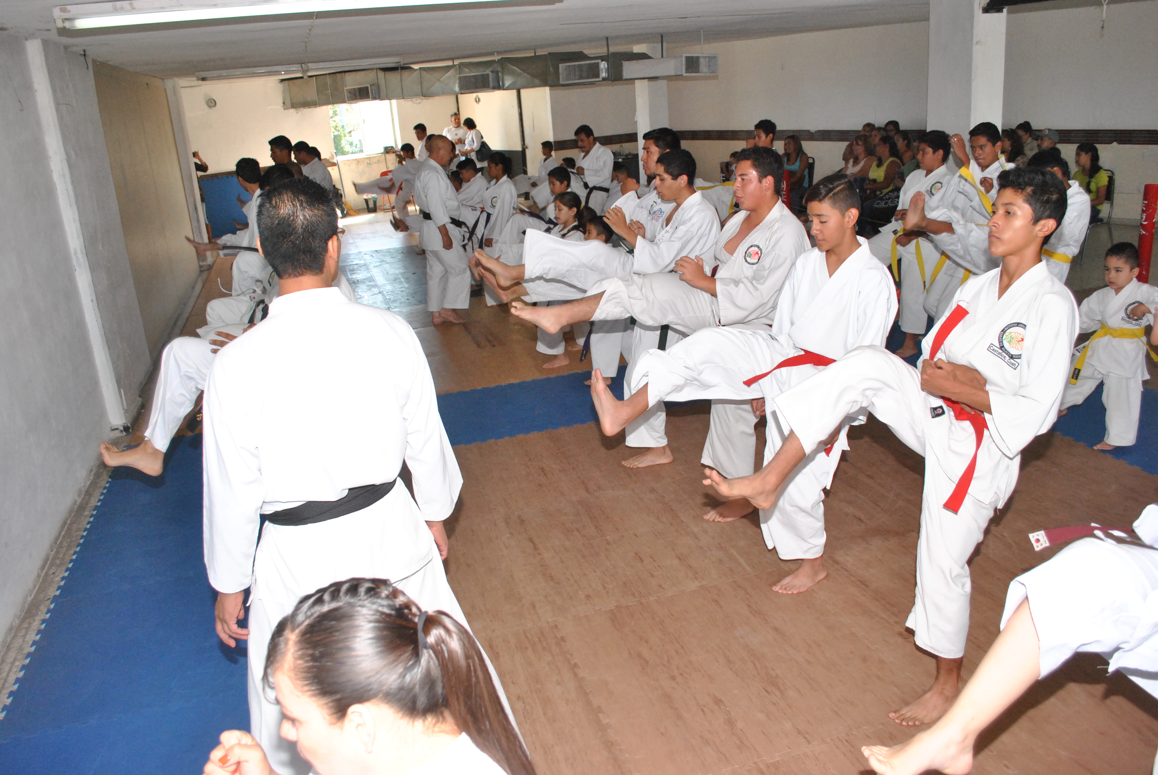 Realizan seminario de Karate