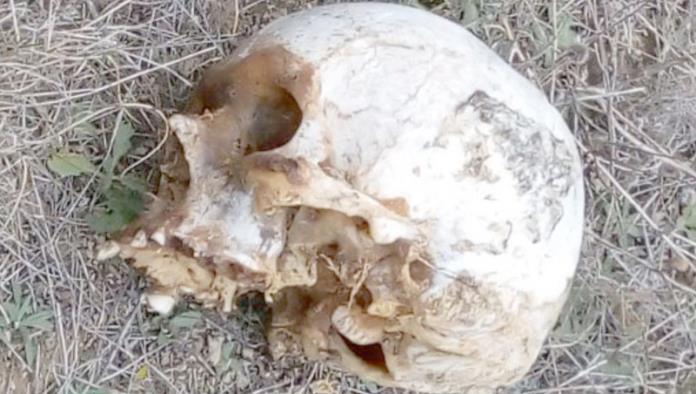 Continúan investigación sobre cráneo encontrado en Presa La Amistad