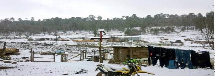 Reportan caída de nieve en 7 municipios de Durango