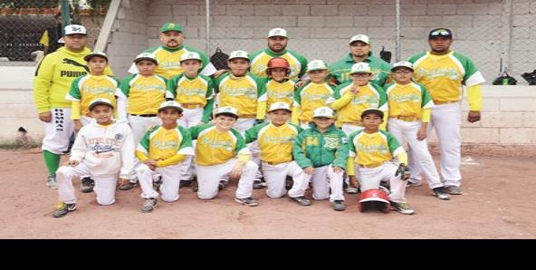 Liga de beisbol infantil y juvenil Ribereña AC renovará directiva