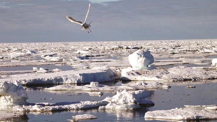 El Ártico podría salvarse con 500 mdd y bombas de aire