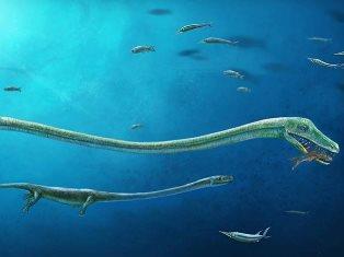 Encuentran fósil de animal ancestral ‘embarazado’