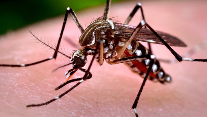 Confirma SSA un caso de zika