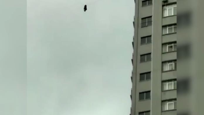 Video: Hombre huye por cable de luz para no pagar cuenta de hotel
