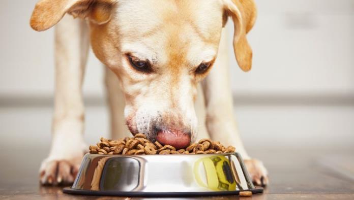 Retiran comida para perros contaminada con fármaco para sacrificar animales