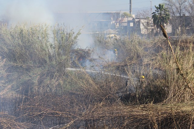 Alarma por incendio de carrizos en Río