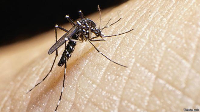Pide ayuda contra Zika y Dengue