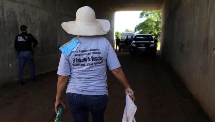 Activistas localizan 9 fosas clandestinas más en un predio de Veracruz; ya suman 116