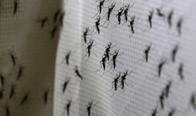 Zika ya no es emergencia