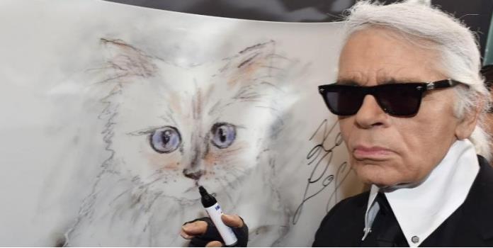 Tras muerte de Karl Lagerfeld, Choupette se convierte en la gata huérfana más acaudalada del mundo