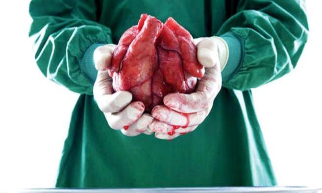Más allá de lo ético: donación de órganos