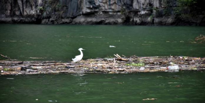 México firma acuerdo por la protección de defensores del ambiente