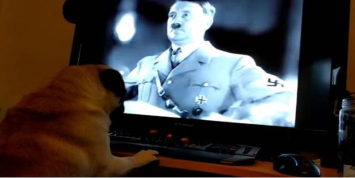 Condenan por delito de odio a youtuber que enseñó a un perro a hacer el saludo nazi