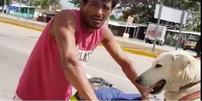 Conoce al hombre que cura y cuida perros mientras viaja por México (VIDEO)