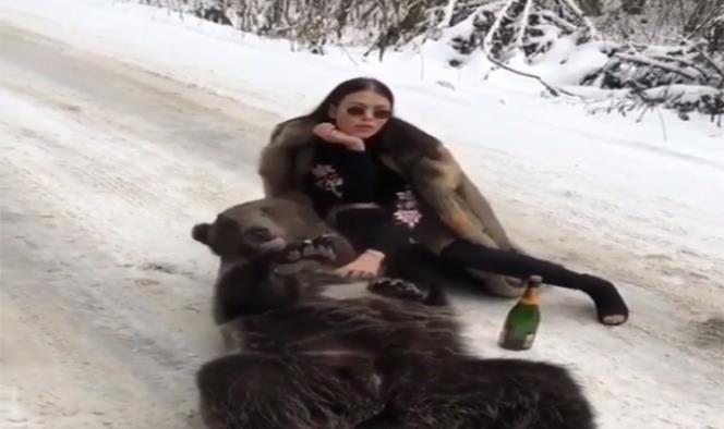 El masaje de una joven millonaria a un oso... ¿borracho?