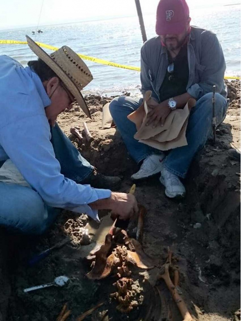 Descubre IPN entre la arena restos humanos del año 1,100 d.C.