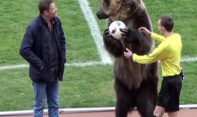 Critican uso de oso de verdad antes de un partido