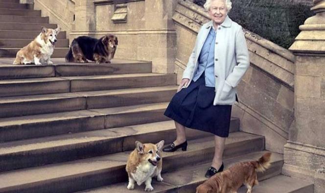La reina Isabel II pierde a Willow, su perro favorito