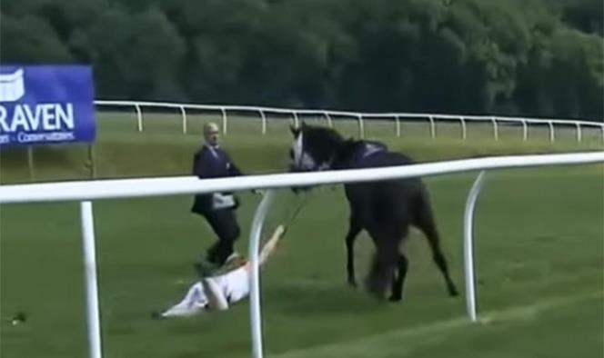 Periodista frena a caballo que iba a toda velocidad