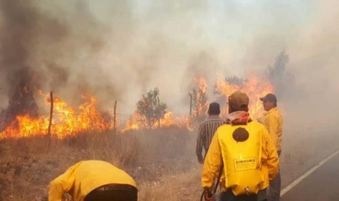 Continúa combate a incendio forestal en Arteaga