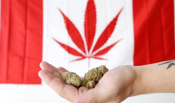 Mariguana será legal en Canadá a partir del 17 de octubre