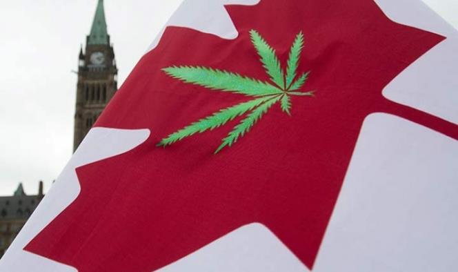 ONU critica a Canadá por legalización de mariguana
