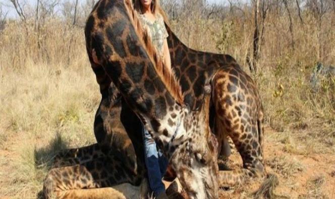 Mata a una jirafa y lo presume en redes