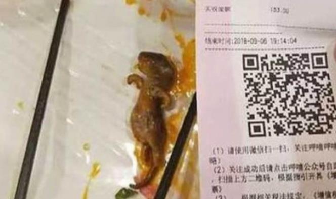 Mujer encuentra rata en su sopa y demanda al restaurante por 190 mmd