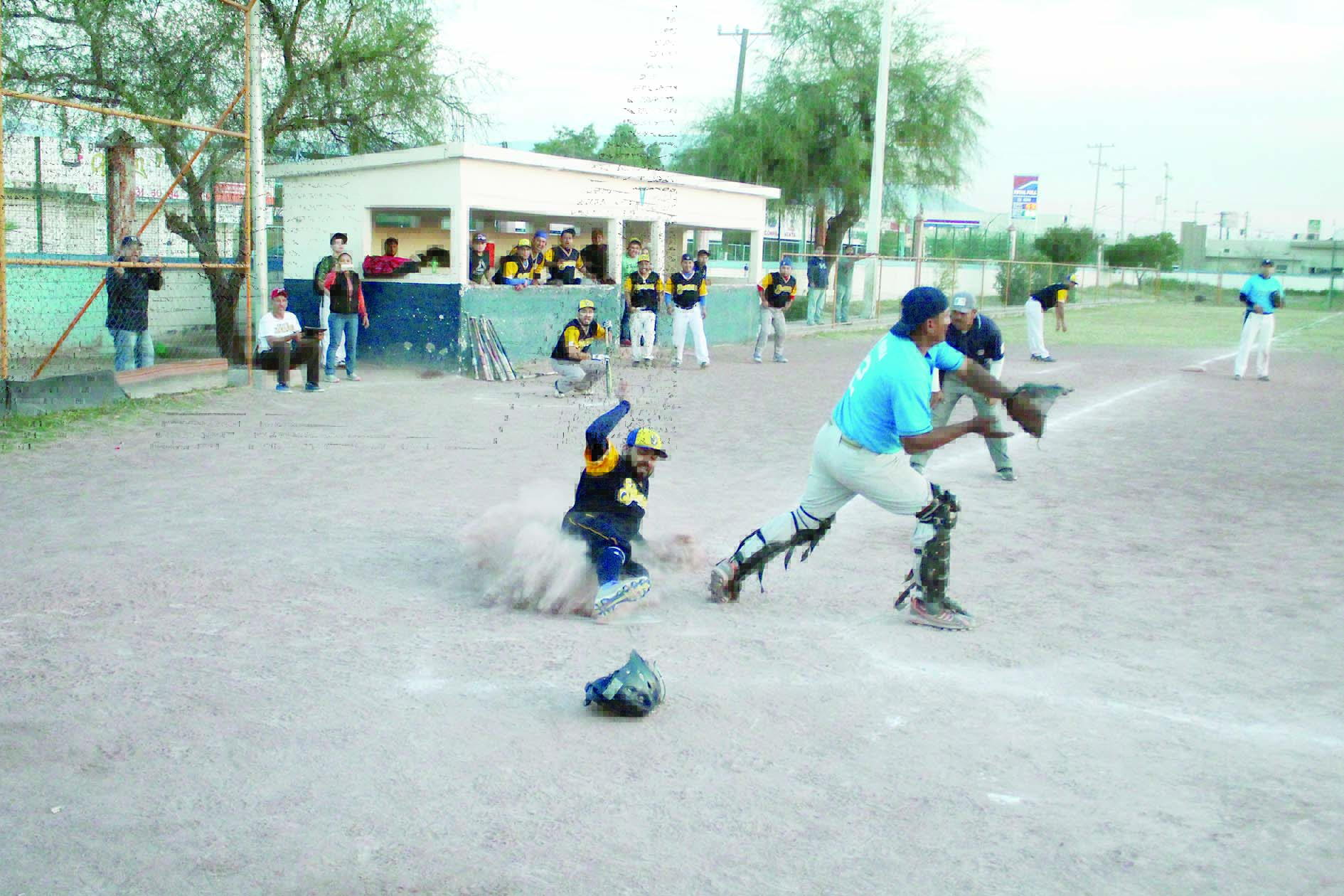 Cerveceros campeón