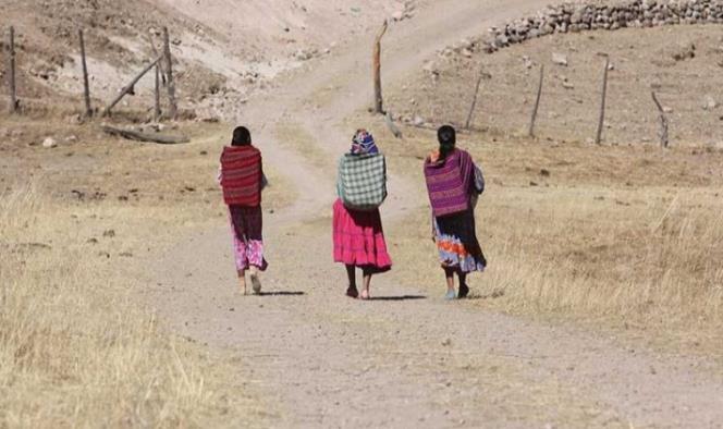 Reportan brote de sarna en etnia tarahumara