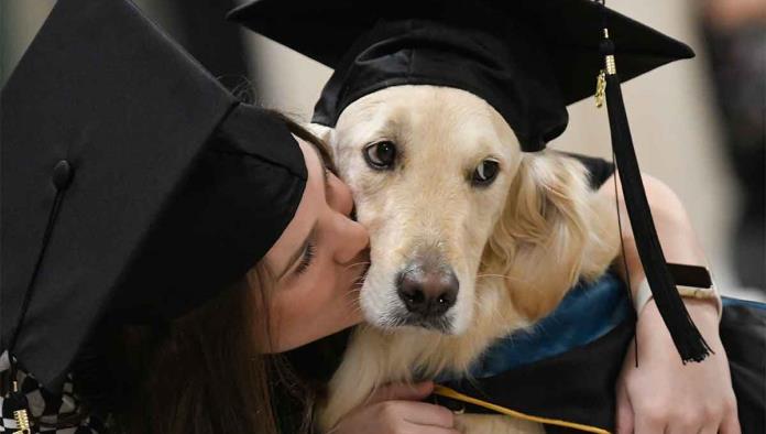 Griffin, el perro que se graduó en una universidad de Nueva York