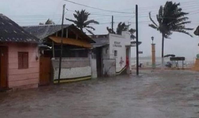 Inundaciones y árboles caídos deja ingreso de frente frío 31 a Yucatán